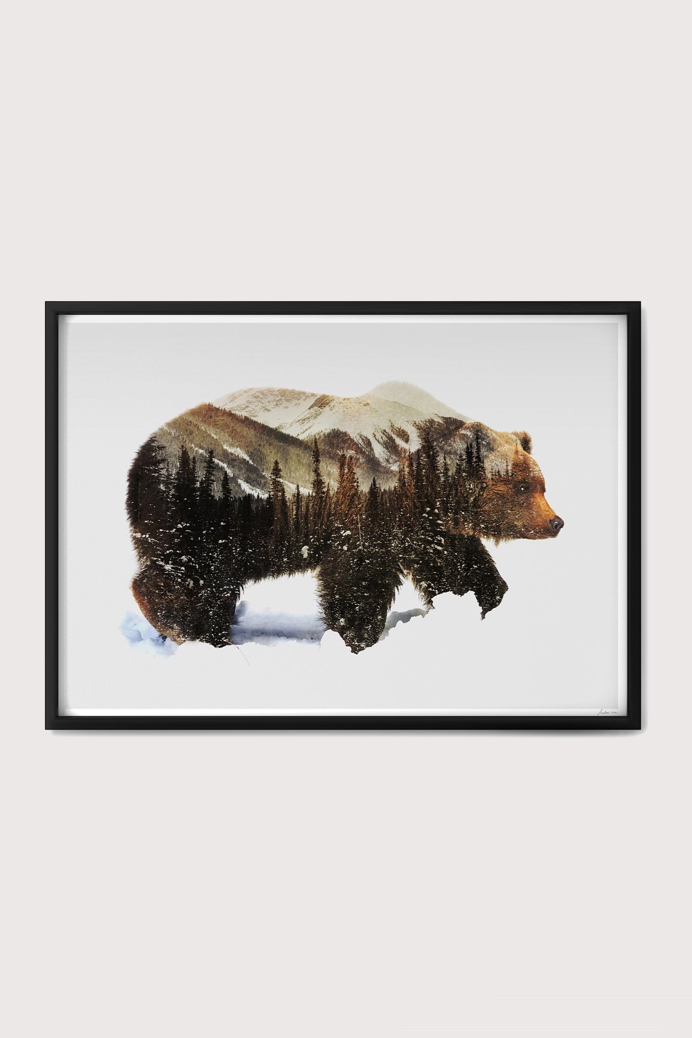 Arctic Grizzly Bear Fine Art Print