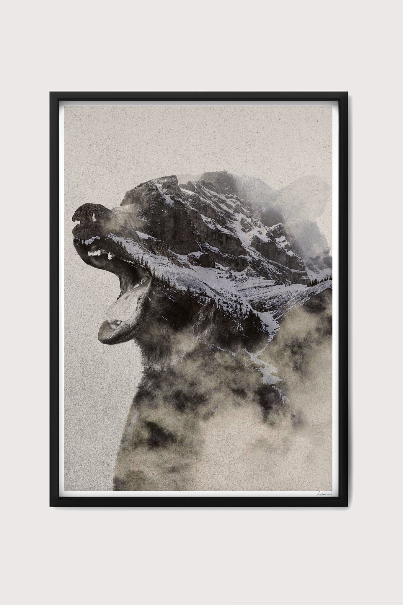 Bear in Fog Fine Art Print