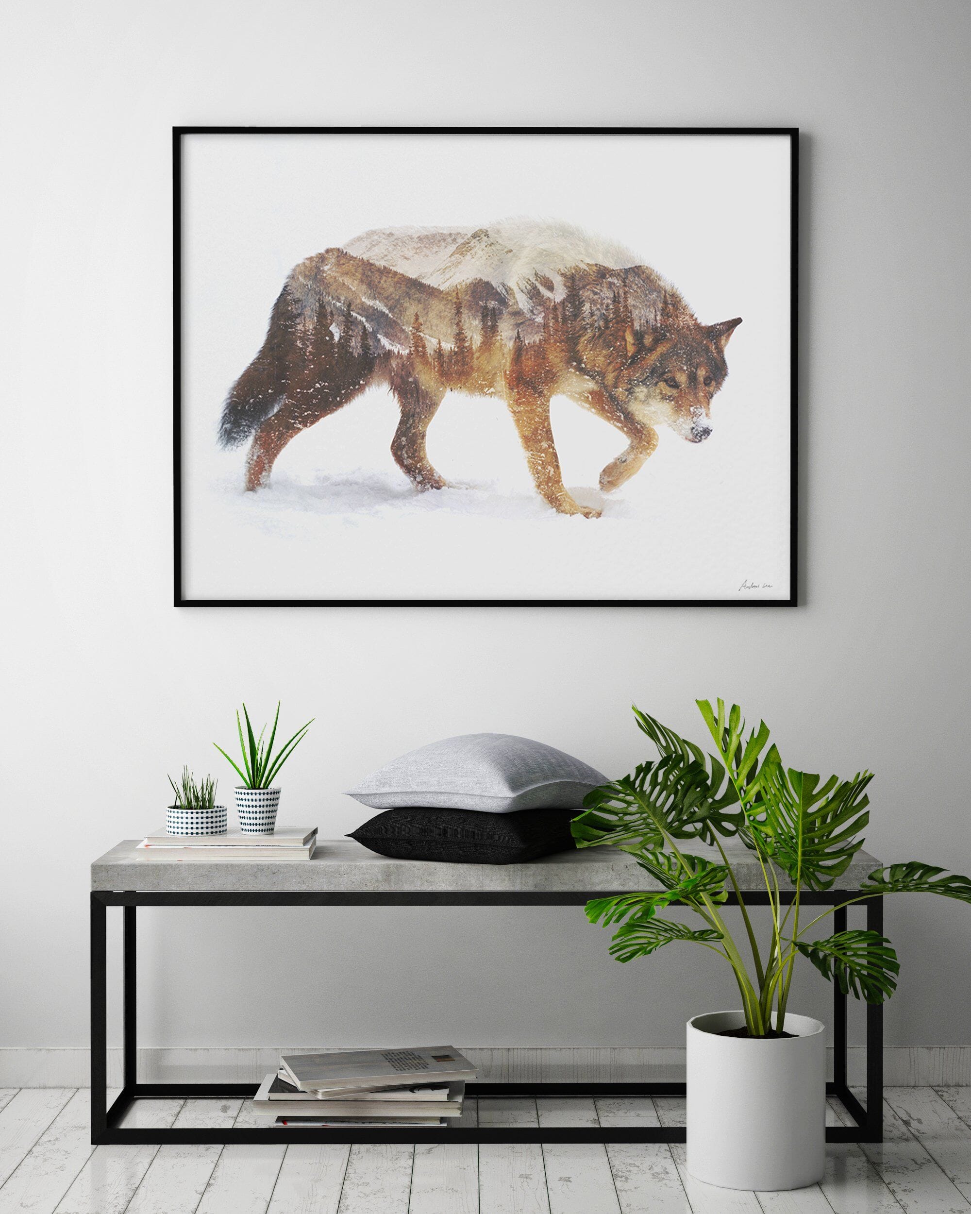 Arctic Wolf Fine Art Print