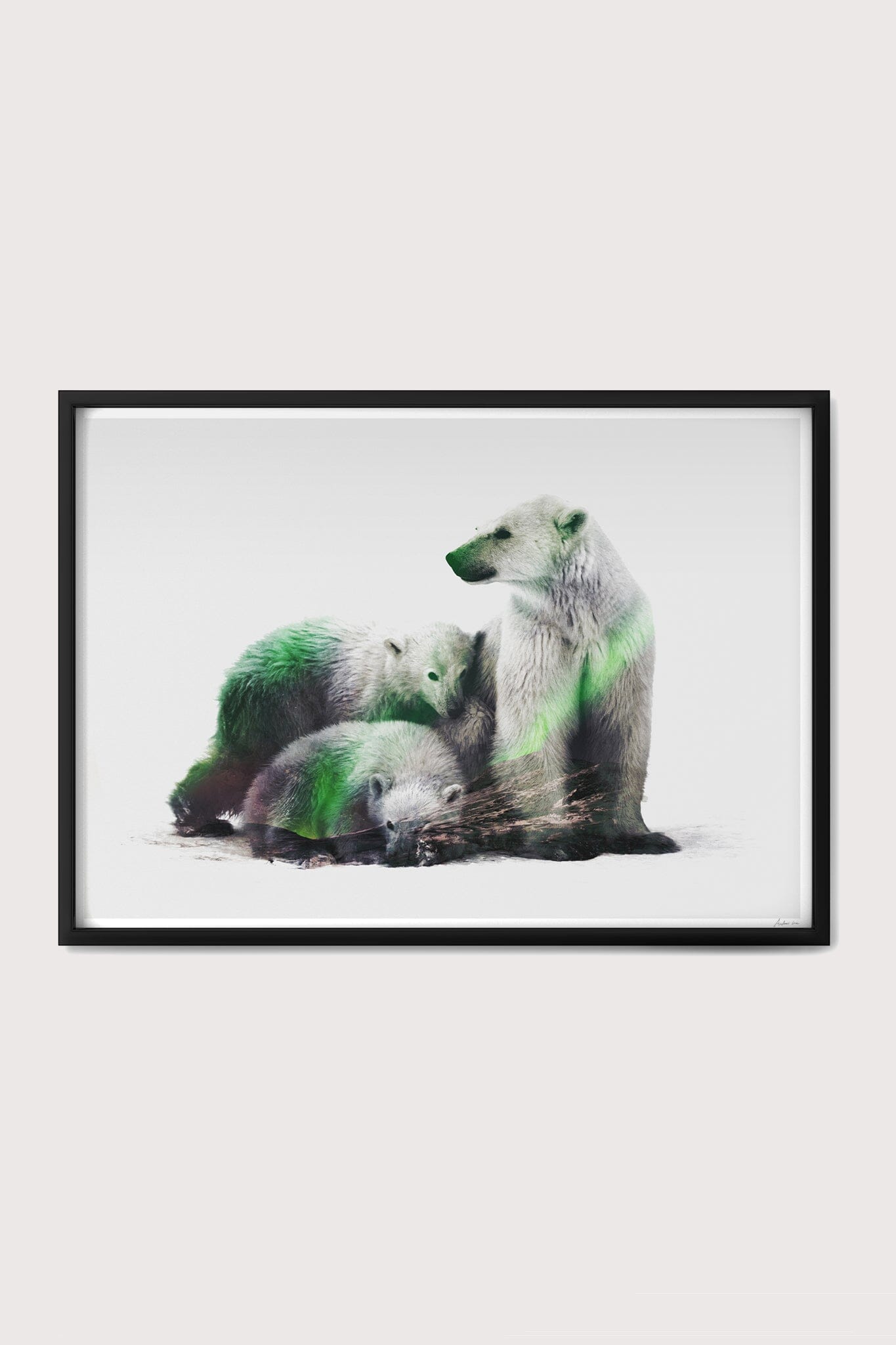 Arctic Polar Bear Family Fine Art Print