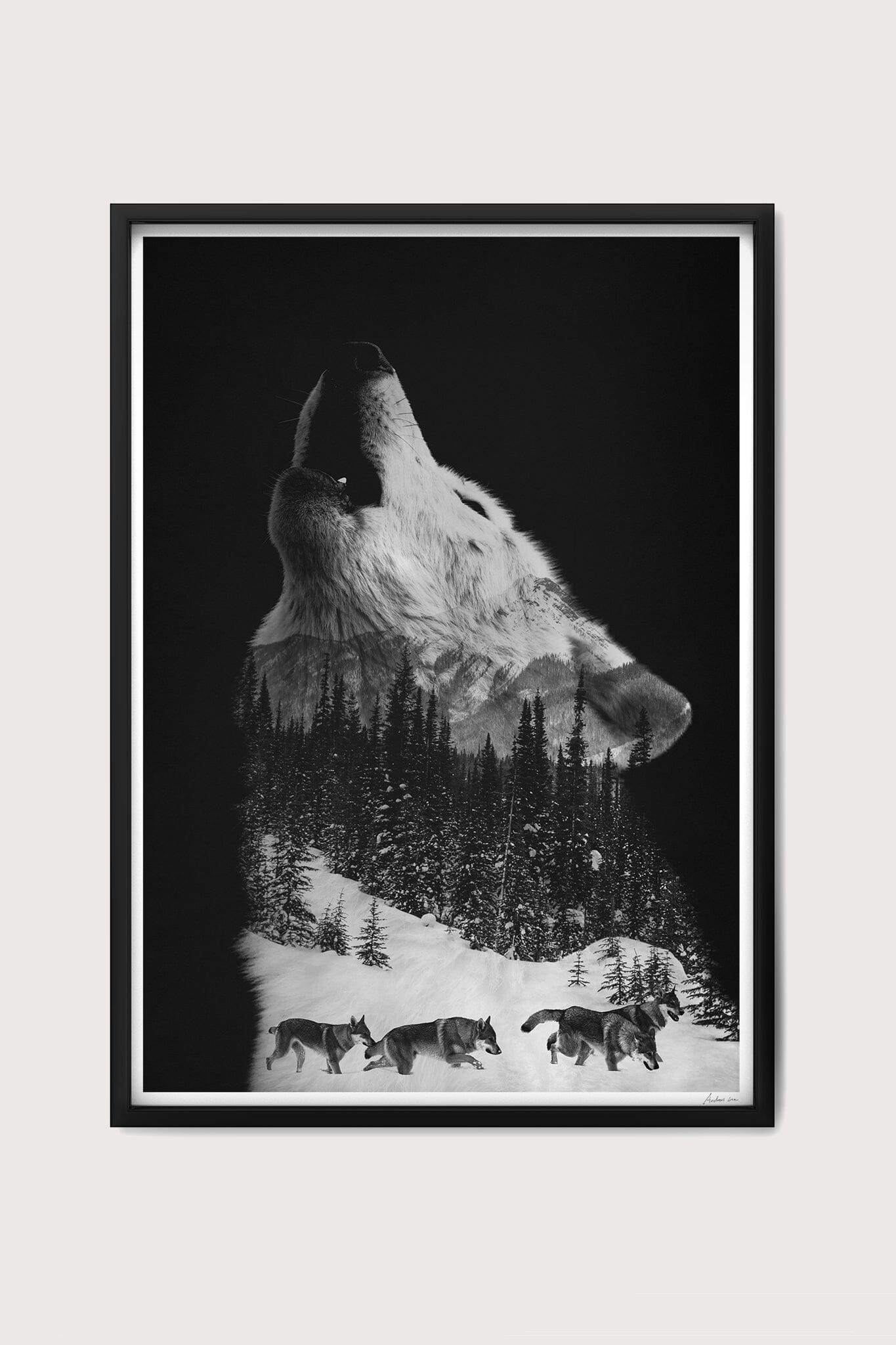 Howling Wolf Fine Art Print