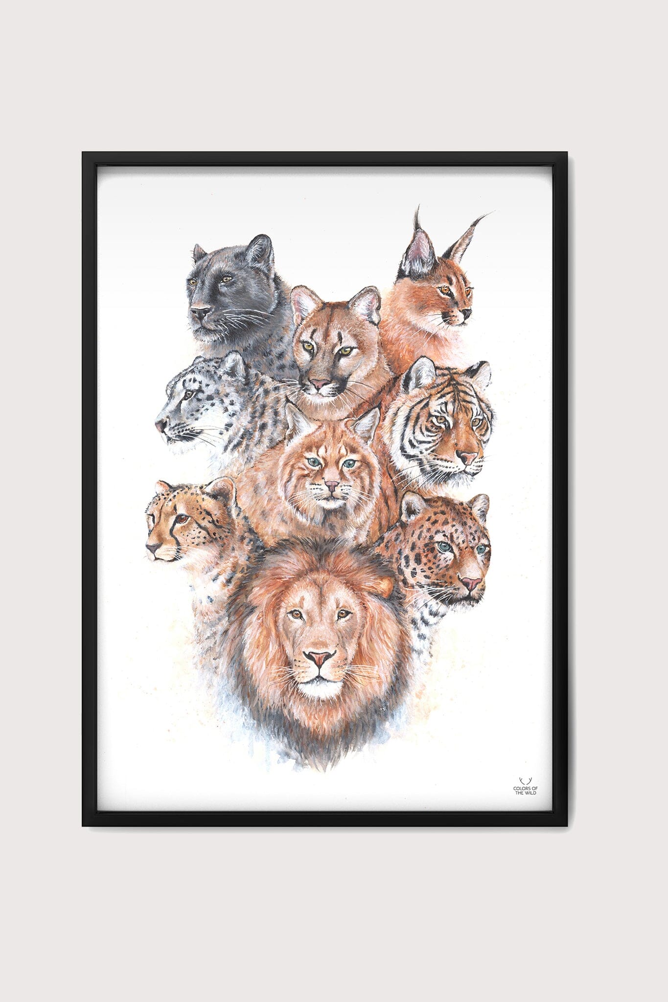 Cats Fine Art Print