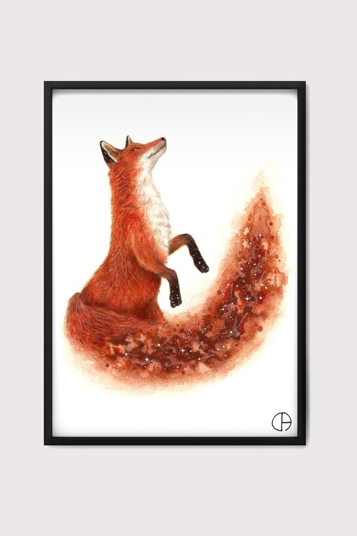 Cosmic Fox Fine Art Print