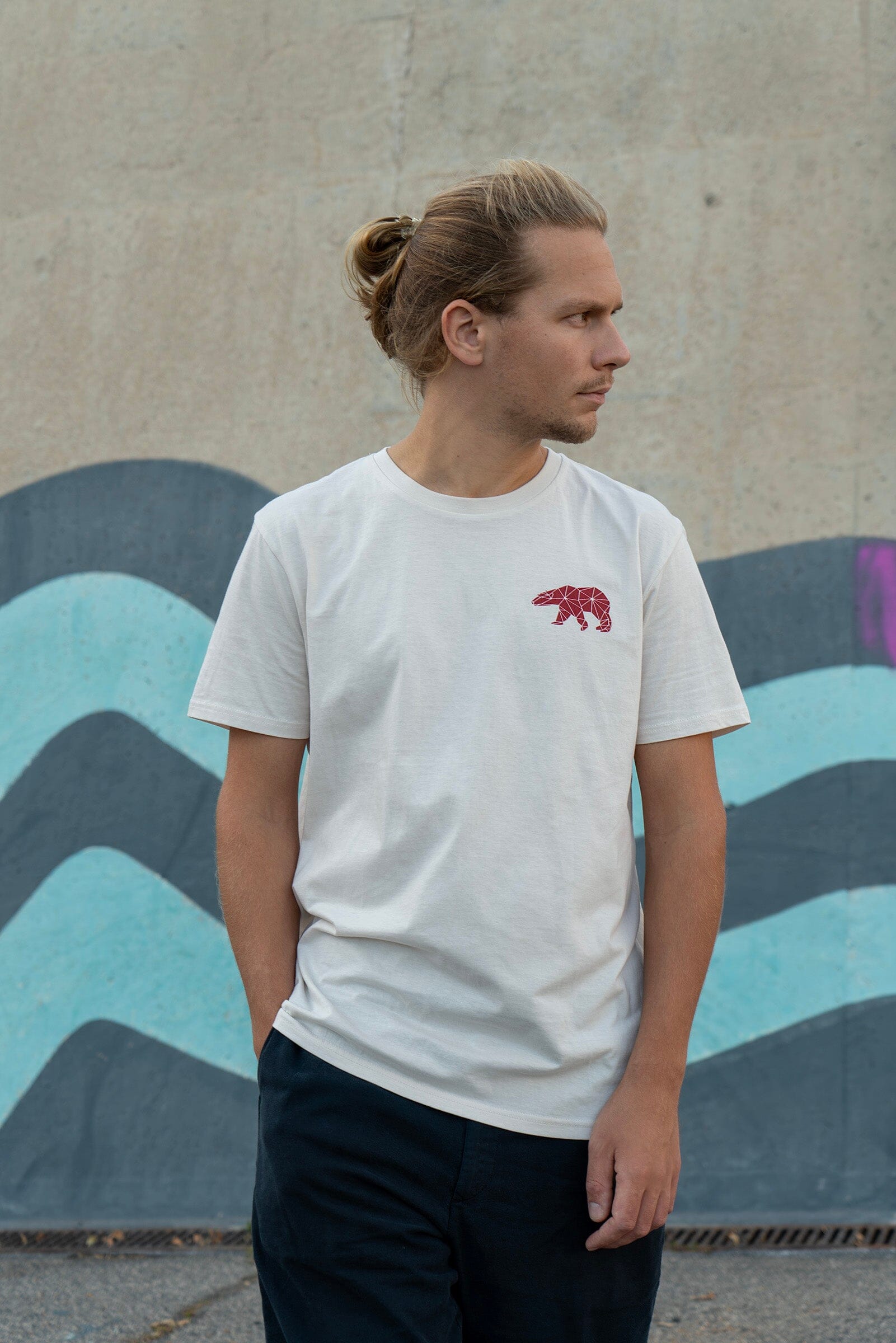 Men's T-shirt | Geometric Polar