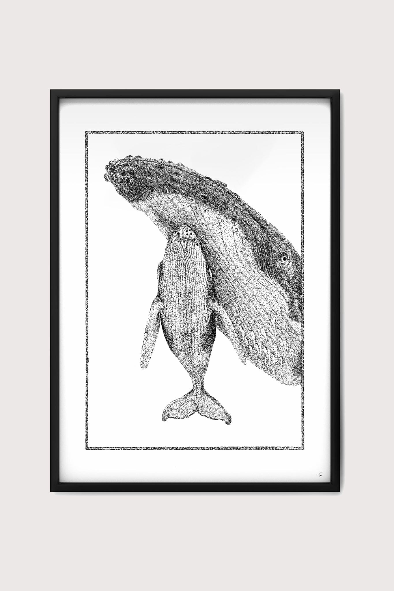 Stippling Whales Fine Art Print