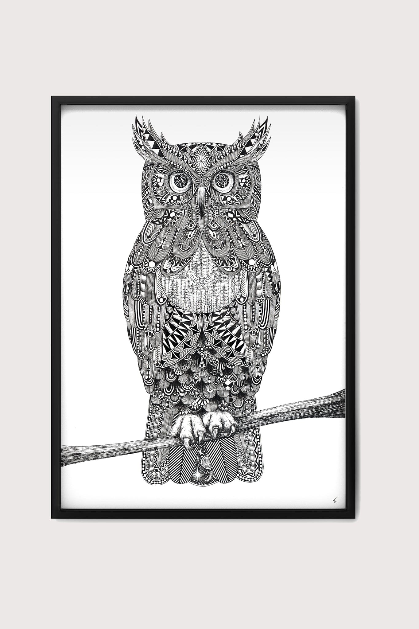 Night Owl Fine Art Print