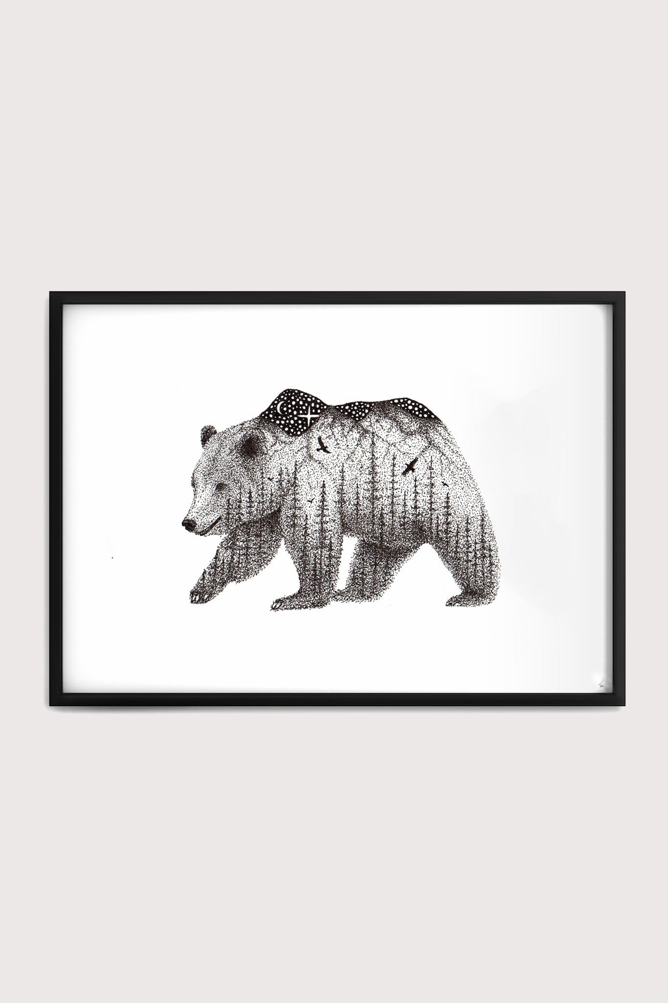Wandering Bear Fine Art Print