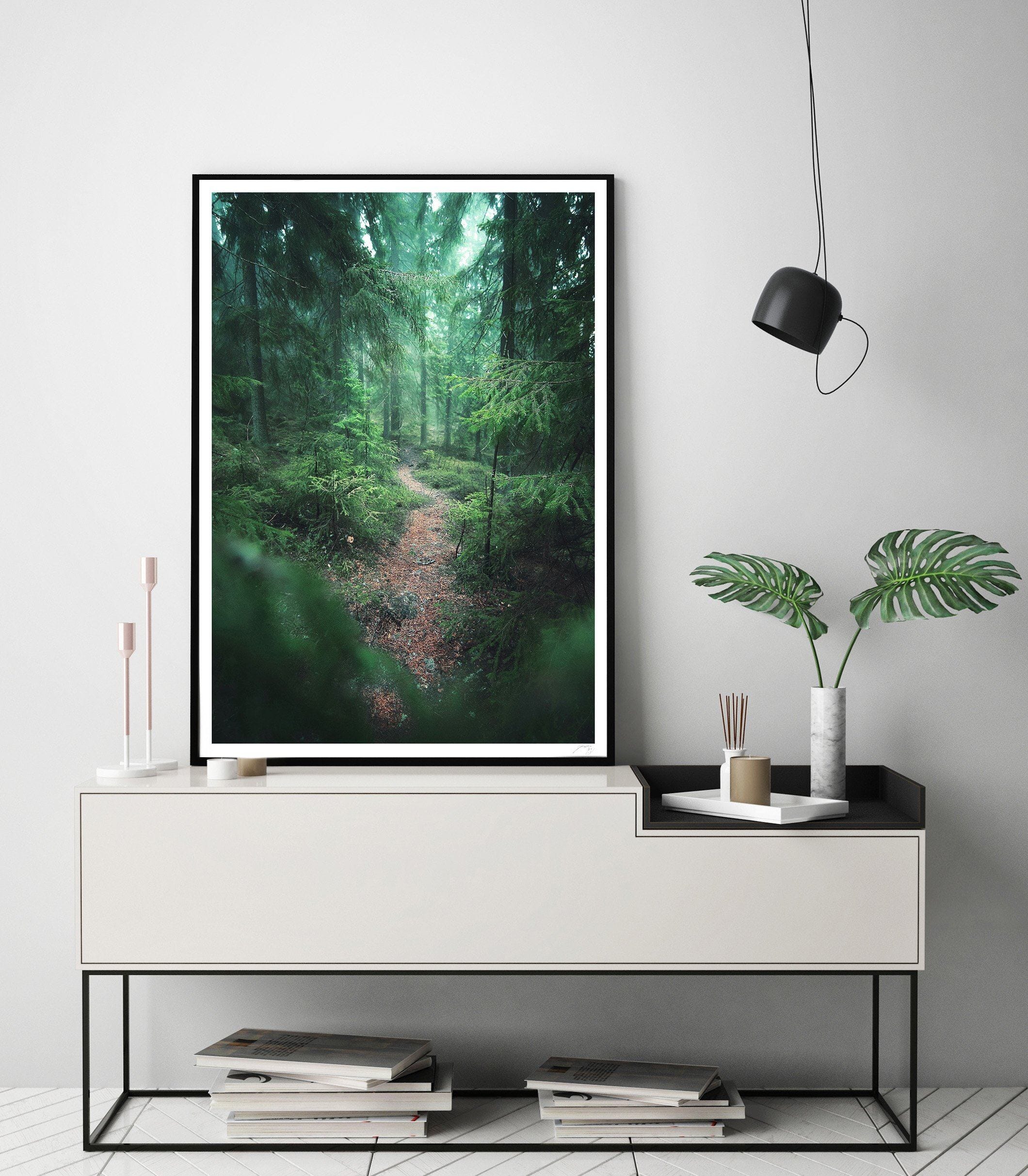 Into the Woods Fine Art Print