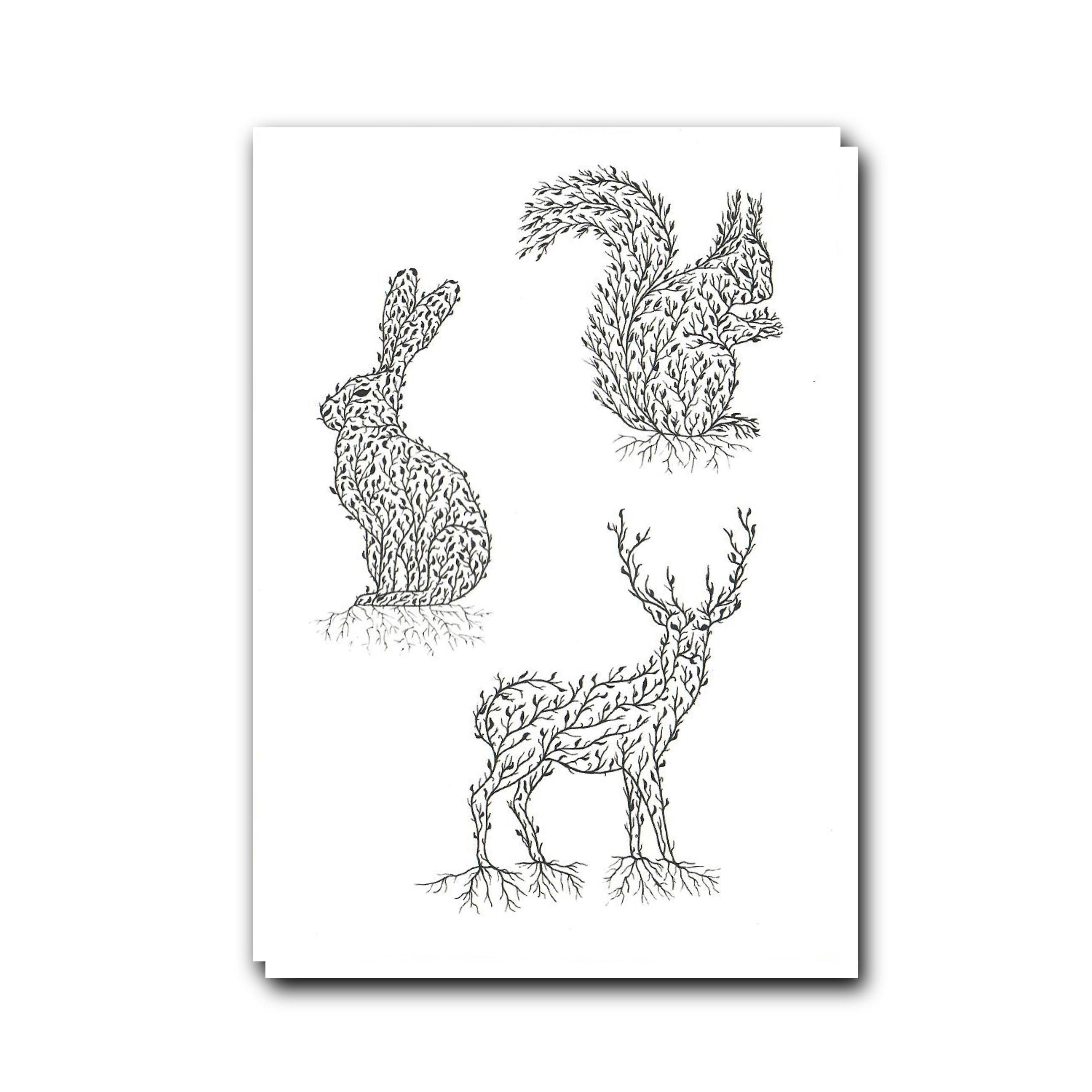 Tobias Illustrations Greetings Cards