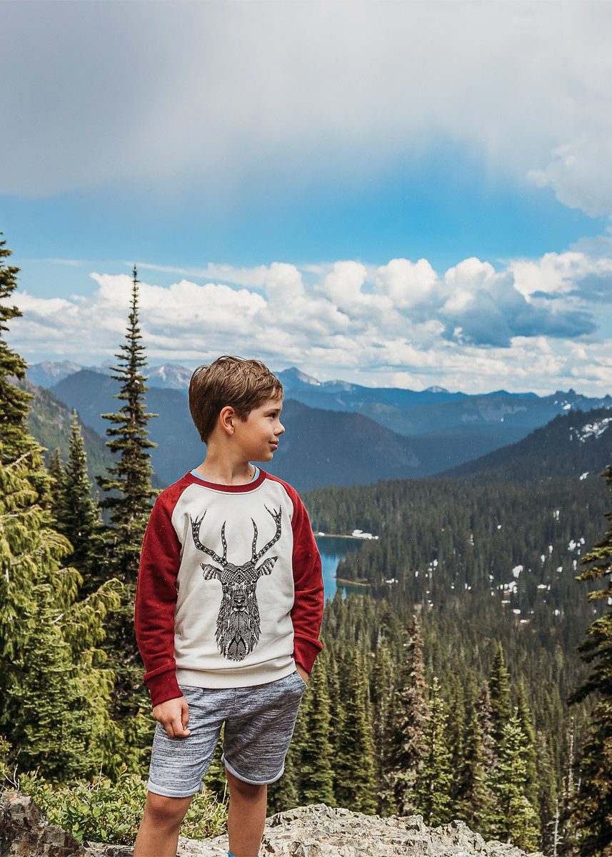 The Stag Contrast Raglan Kids Sweat